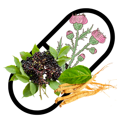 съставки - левзея, жен шен и черен бъз